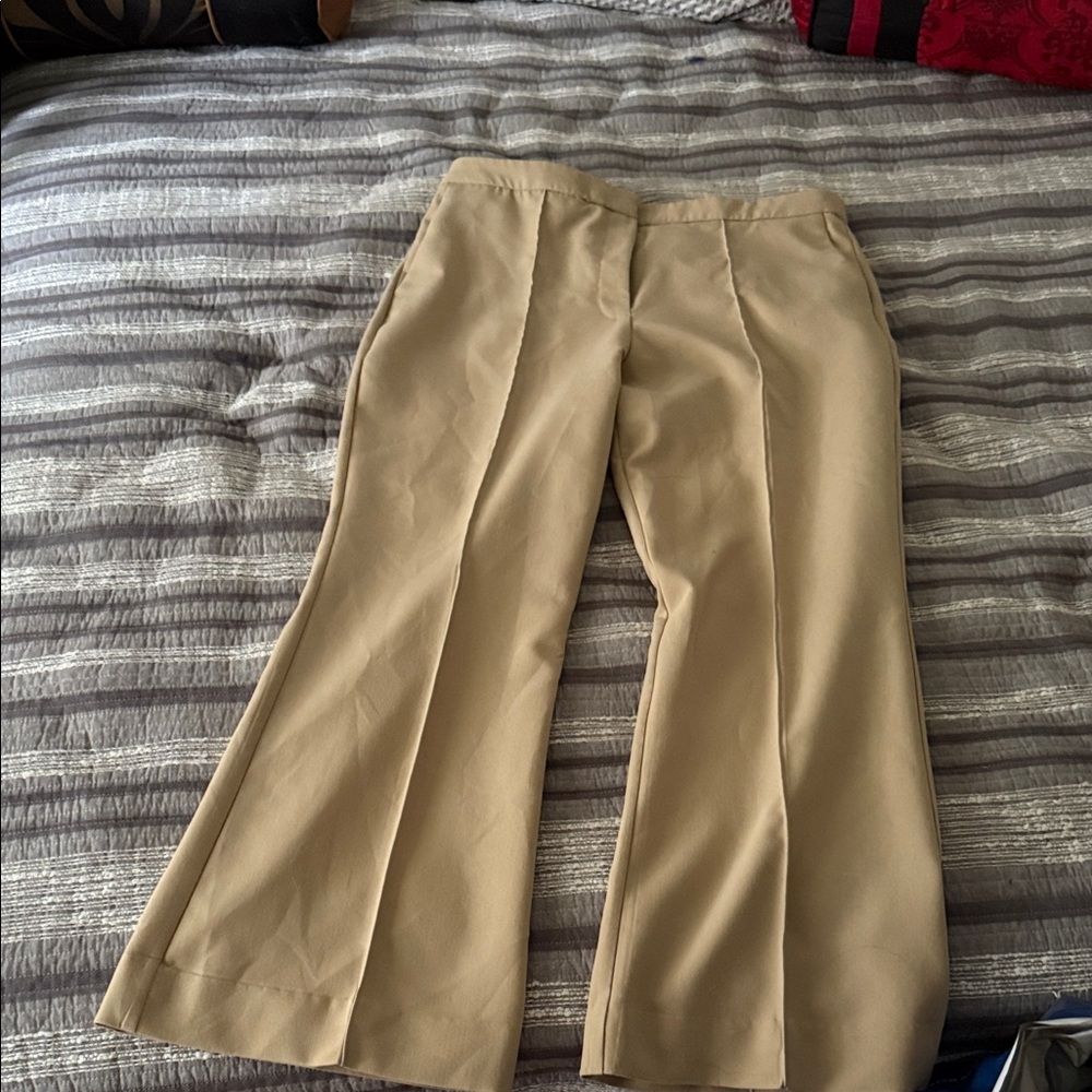 Mango Tan Wide Leg Pants